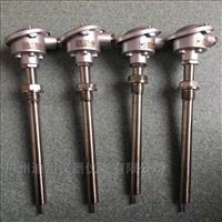 wzp赫(he)斯曼溫度傳(chuán)感器